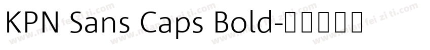 KPN Sans Caps Bold字体转换